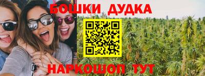 индика Аша