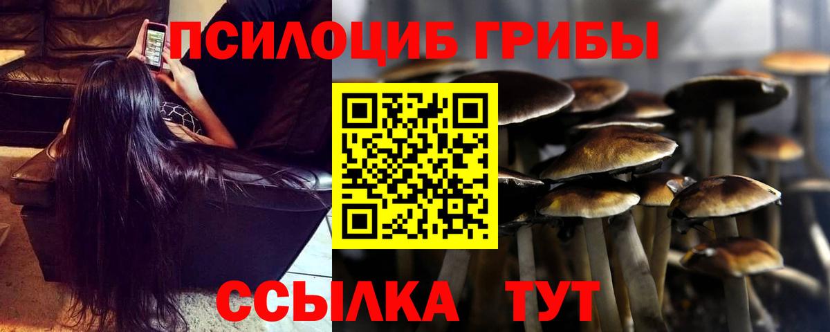 Псилоцибиновые грибы MAGIC MUSHROOMS  Вход с VPN  Великие Луки 