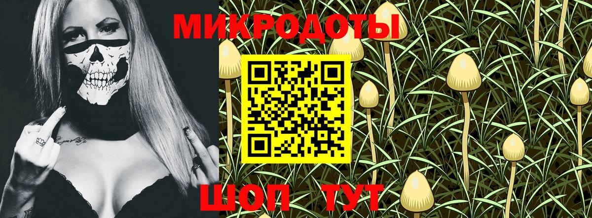 Псилоцибиновые грибы мицелий Великие Луки